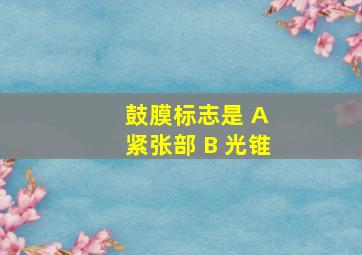 鼓膜标志是 A 紧张部 B 光锥